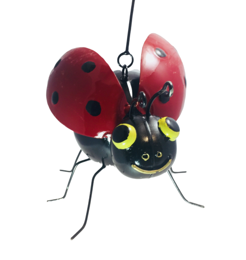 Ladybird Hanging