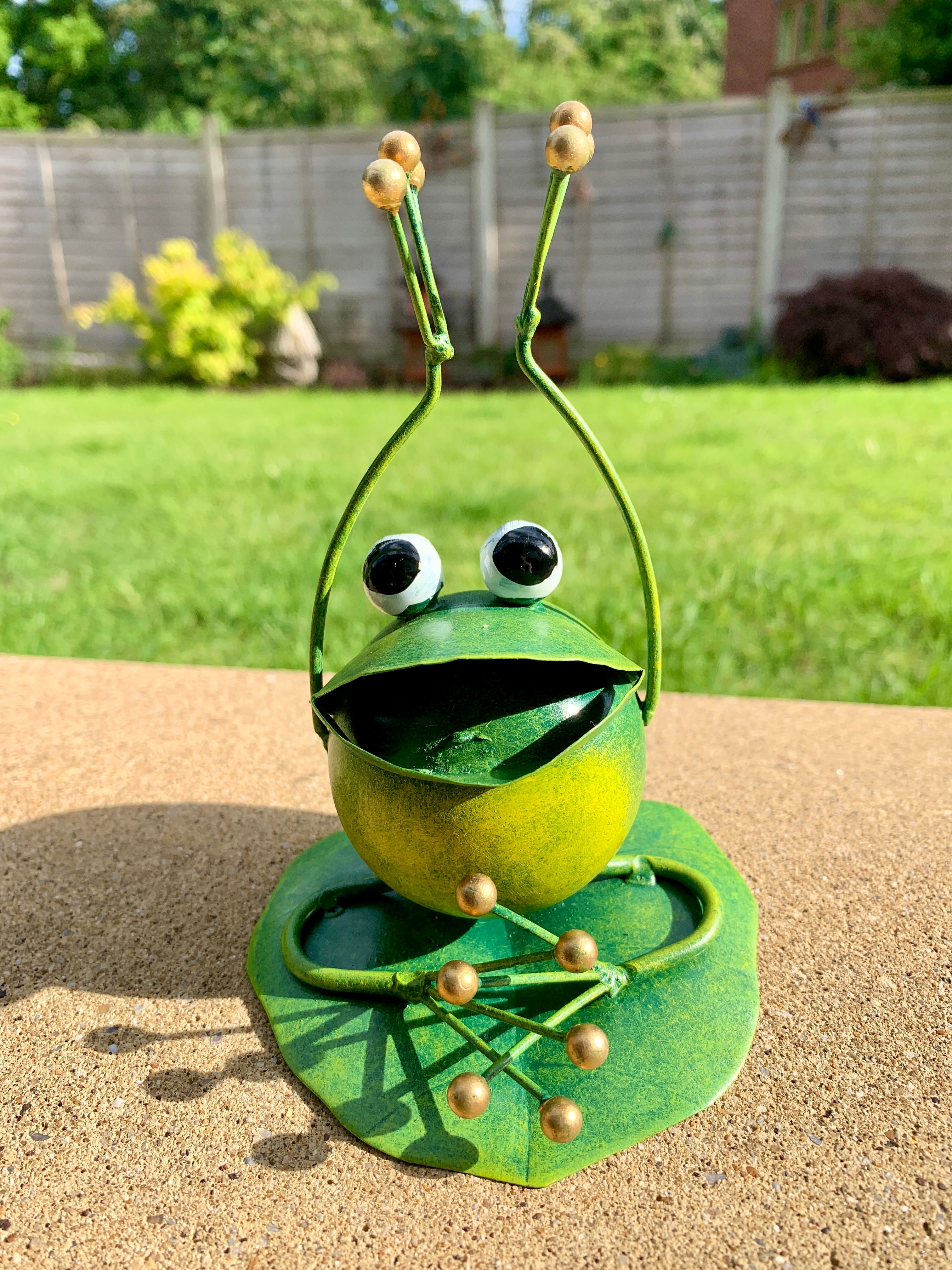 Painted Metal Frogs - Assorted Designs
