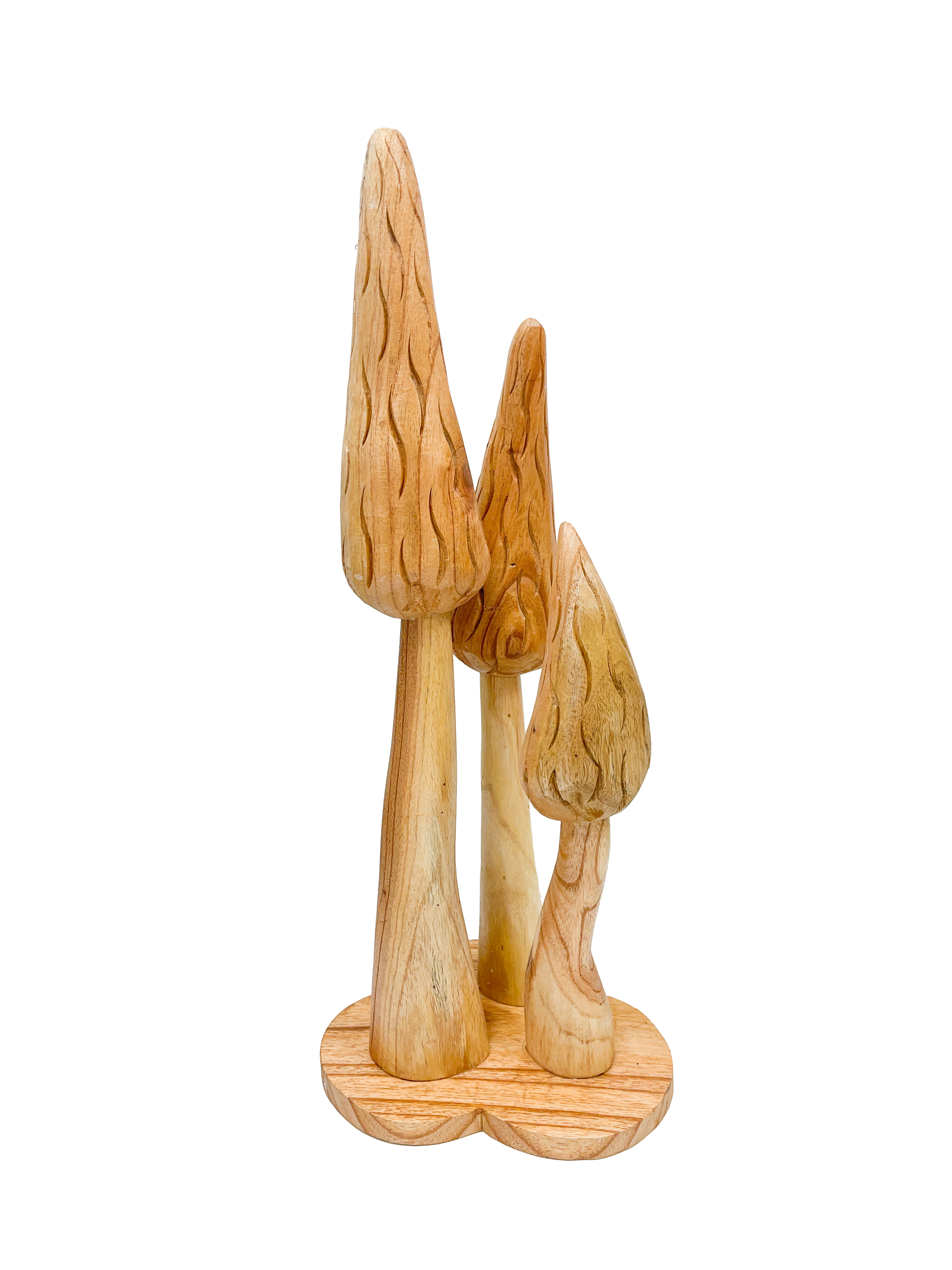 Natural Wooden Morel Mushrooms with Base