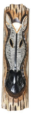 Zebra Mask in Log