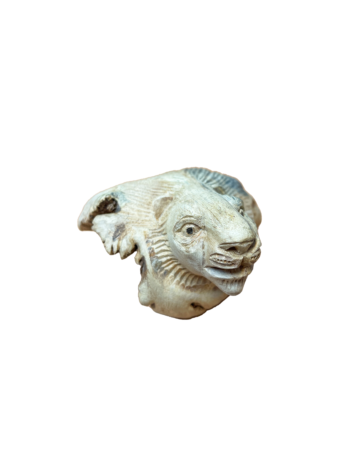 Wooden Carved Lion's Head Parasite Wood