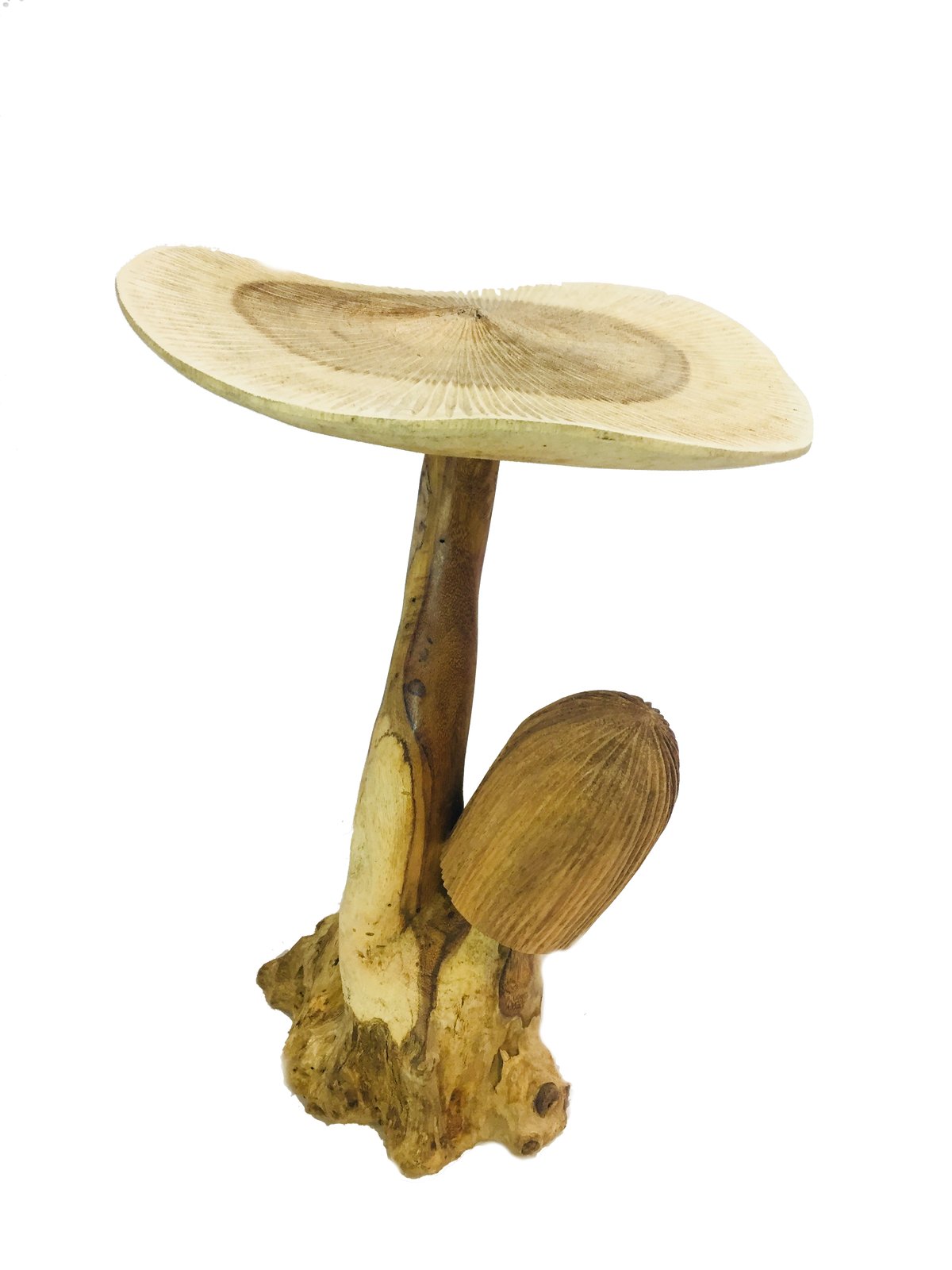 Two Tone Mushroom - Double