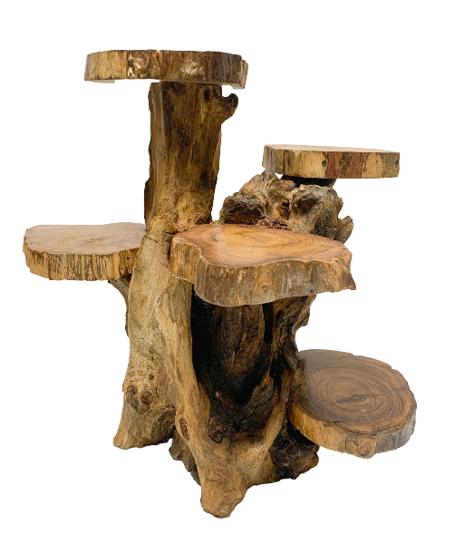 Coffee Tree Display - 5 Platforms