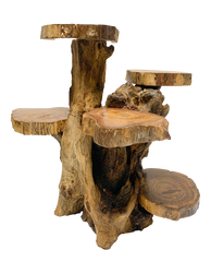 Coffee Tree Display - 5 Platforms