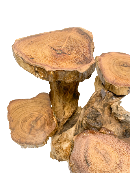 Coffee Tree Display - 5 Platforms