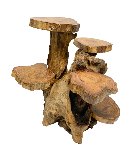 Coffee Tree Display - 5 Platforms