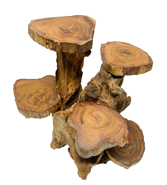 Coffee Tree Display - 5 Platforms