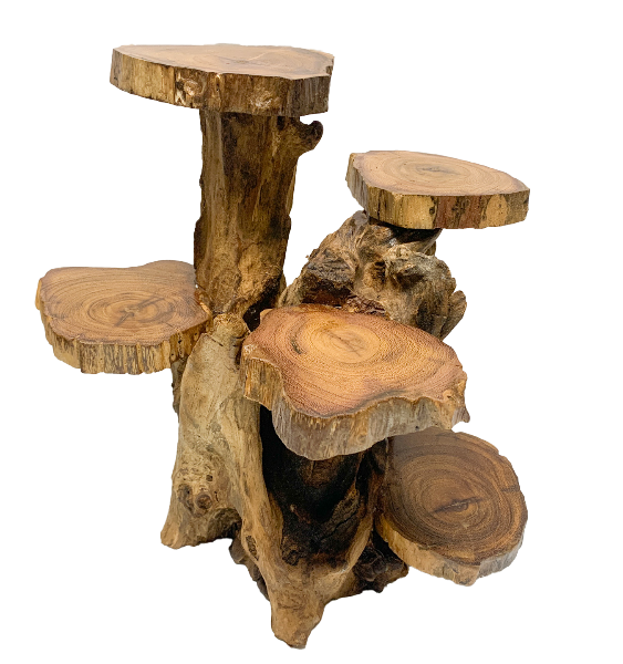 Coffee Tree Display - 5 Platforms