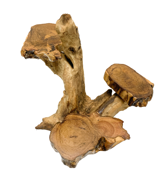 Coffee Tree Display - 3 Platforms