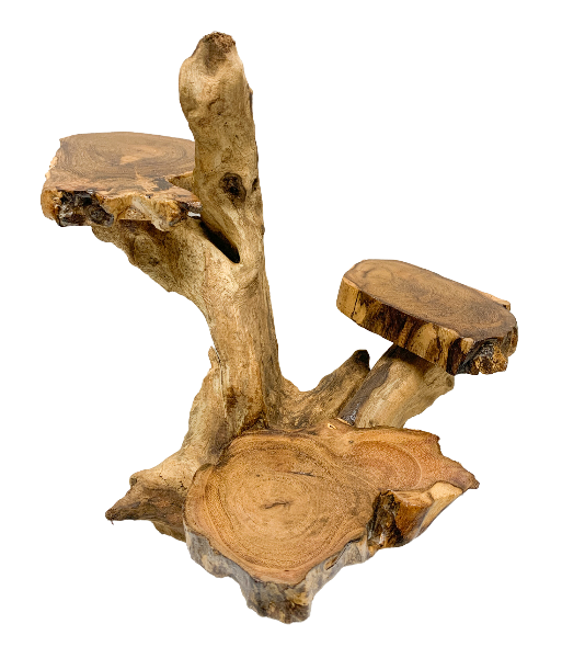 Coffee Tree Display - 3 Platforms