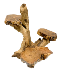 Coffee Tree Display - 3 Platforms