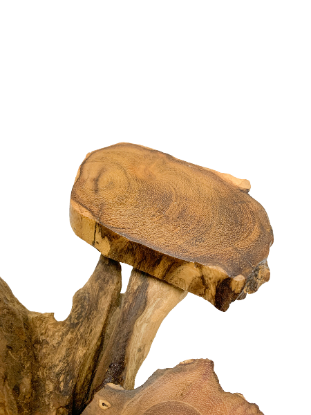 Coffee Tree Display - 3 Platforms