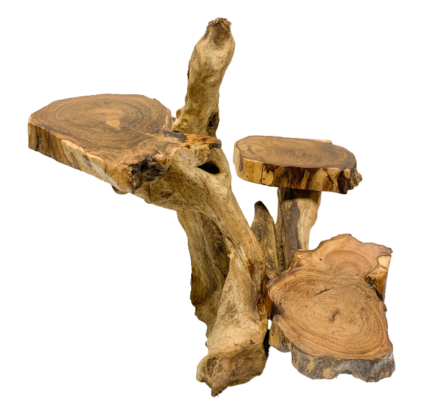 Coffee Tree Display - 3 Platforms