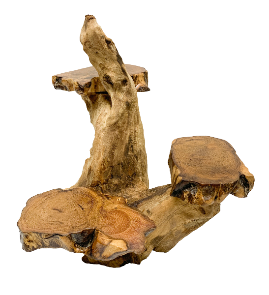 Coffee Tree Display - 3 Platforms