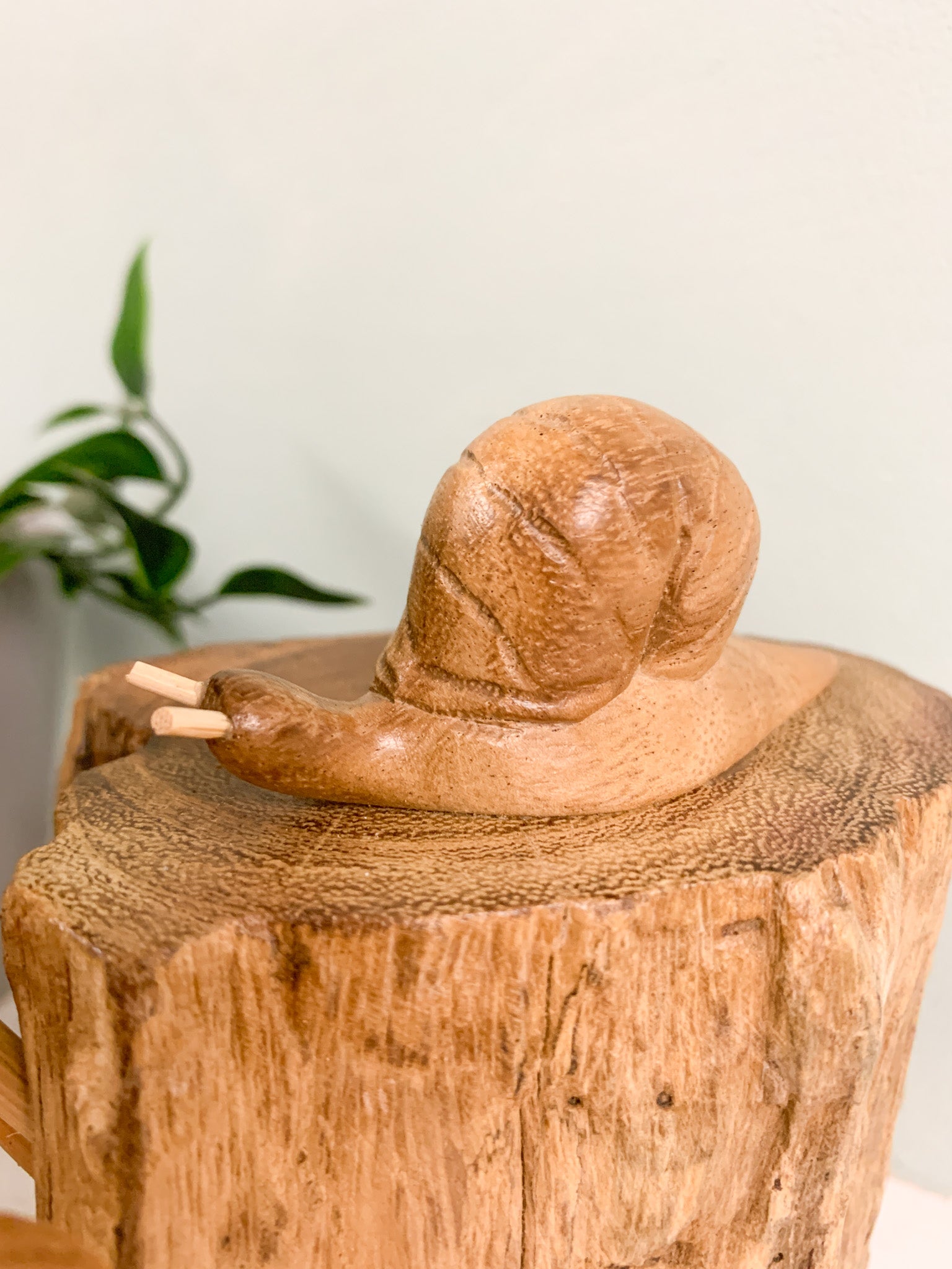 Wooden Snail with Mushrooms