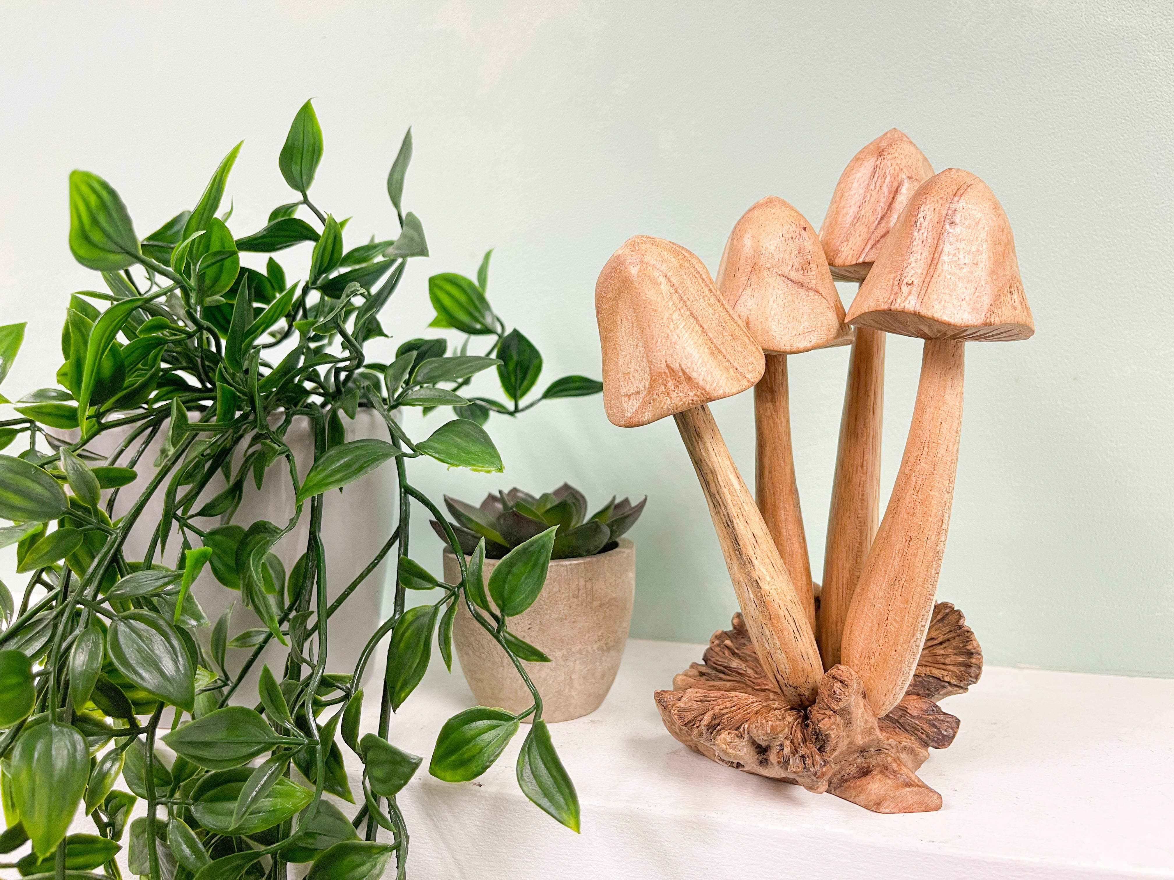 Mushrooms Toadstools Group of Four on Parasite Wood