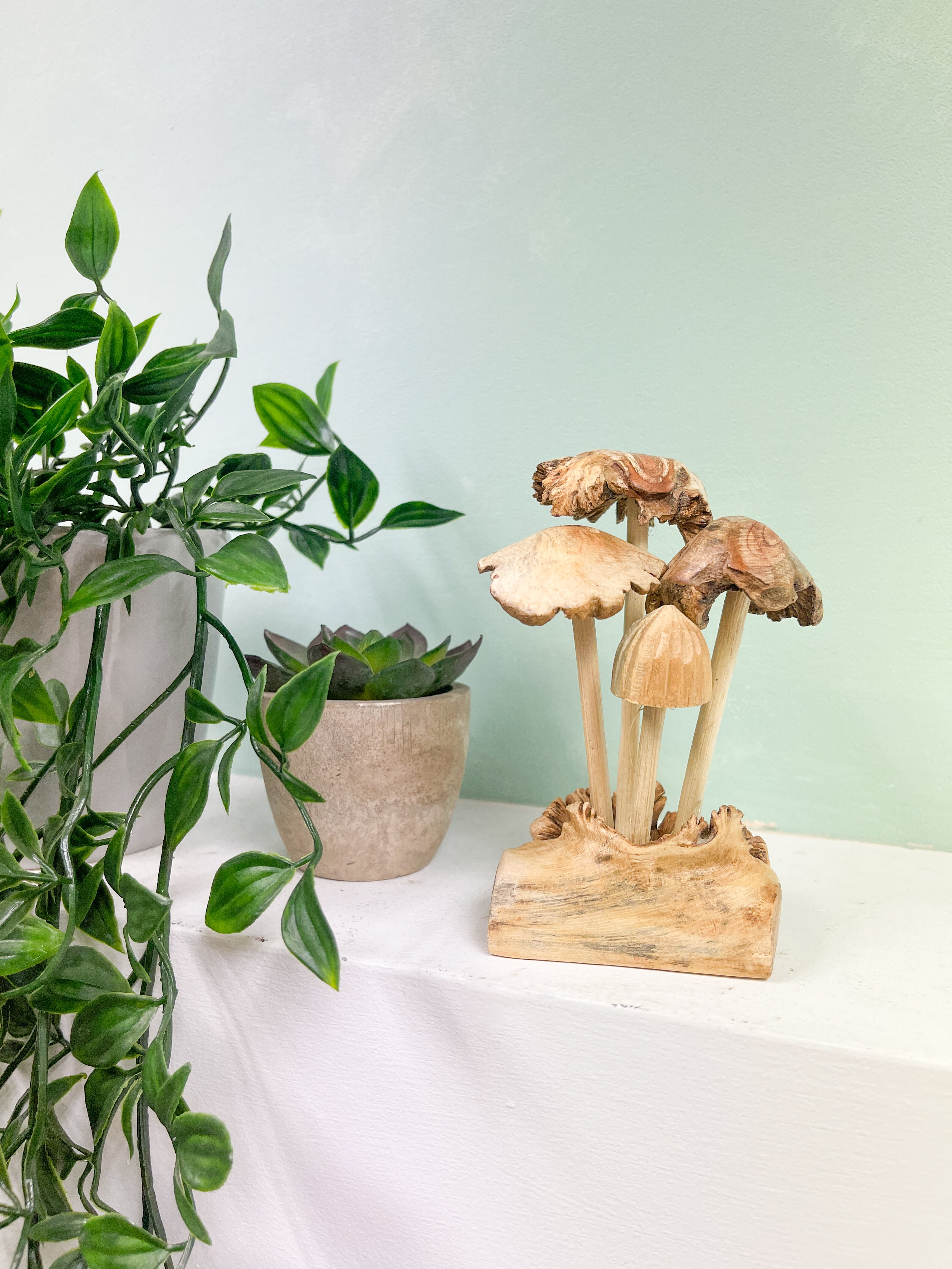 Mushrooms Toadstools Group of Four on Parasite Wood