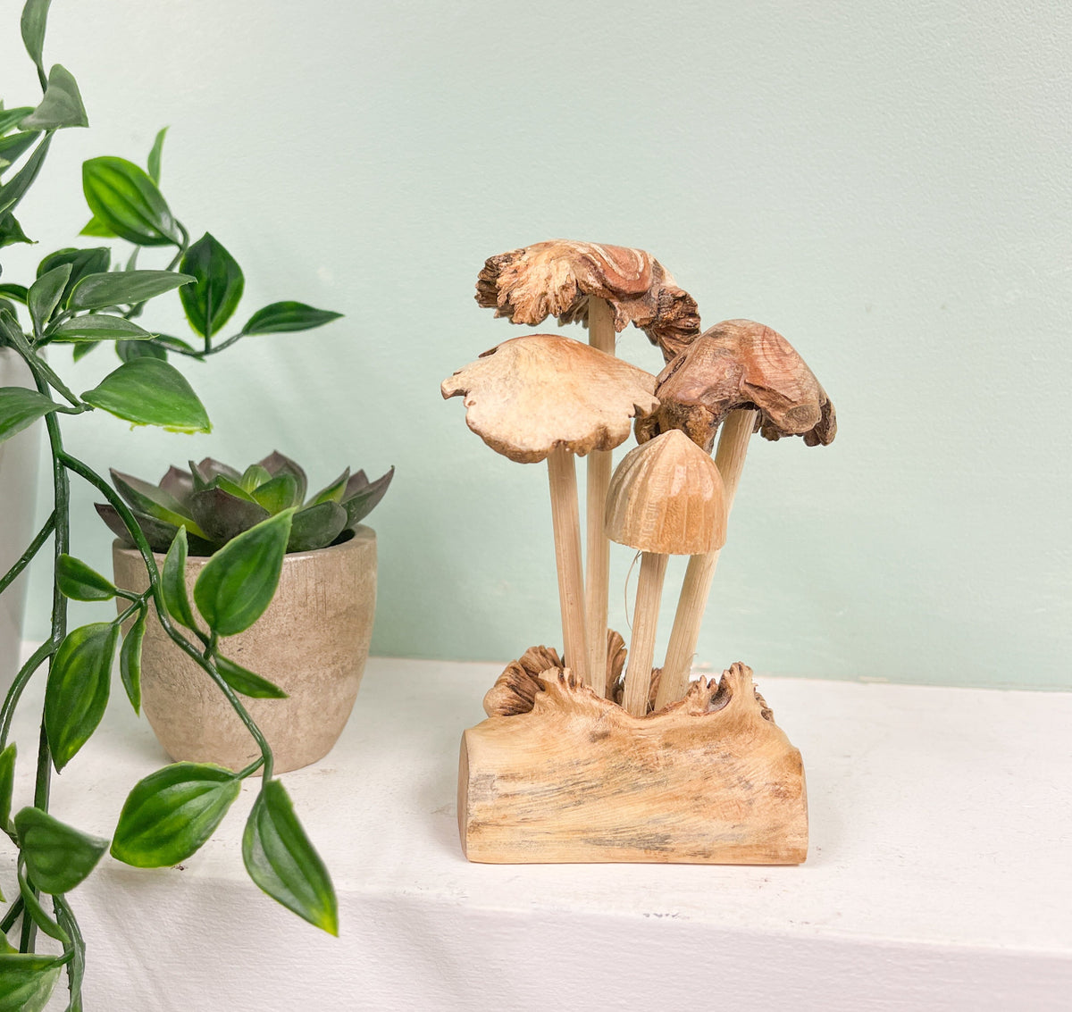 Mushrooms Toadstools Group of Four on Parasite Wood