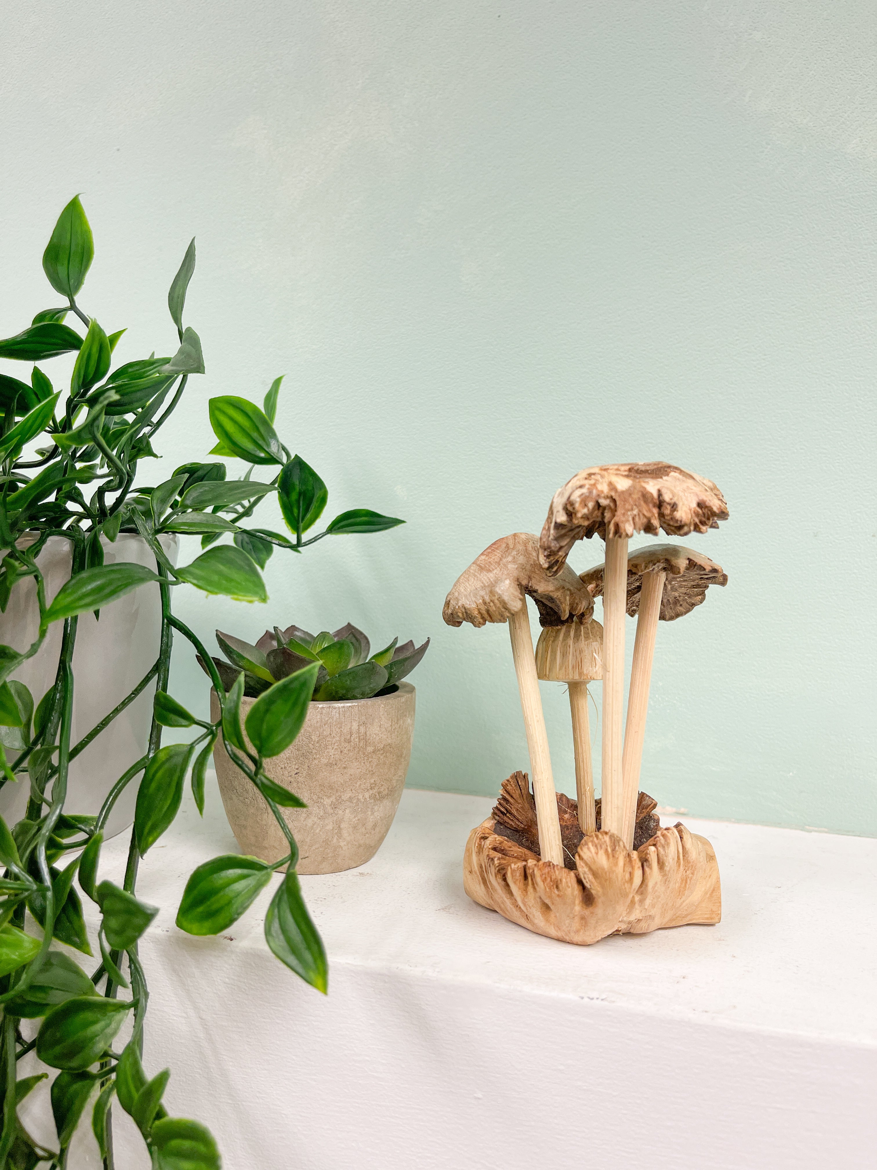 Mushrooms Toadstools Group of Four on Parasite Wood