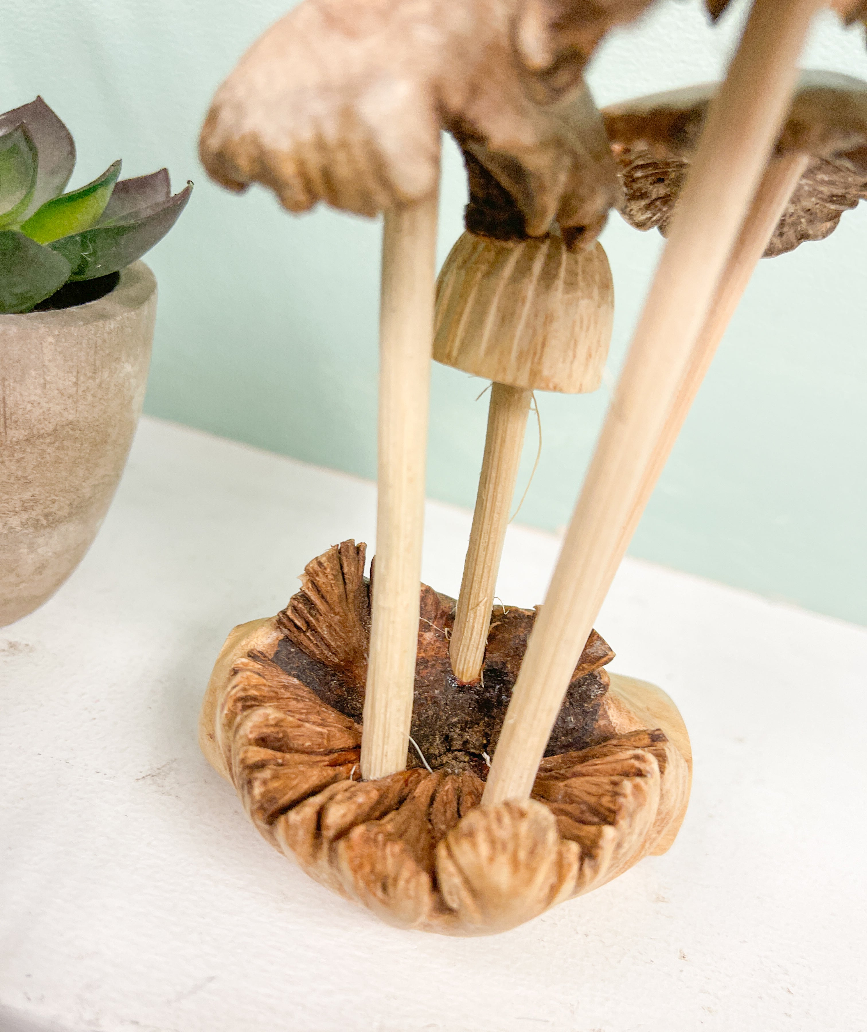 Mushrooms Toadstools Group of Four on Parasite Wood