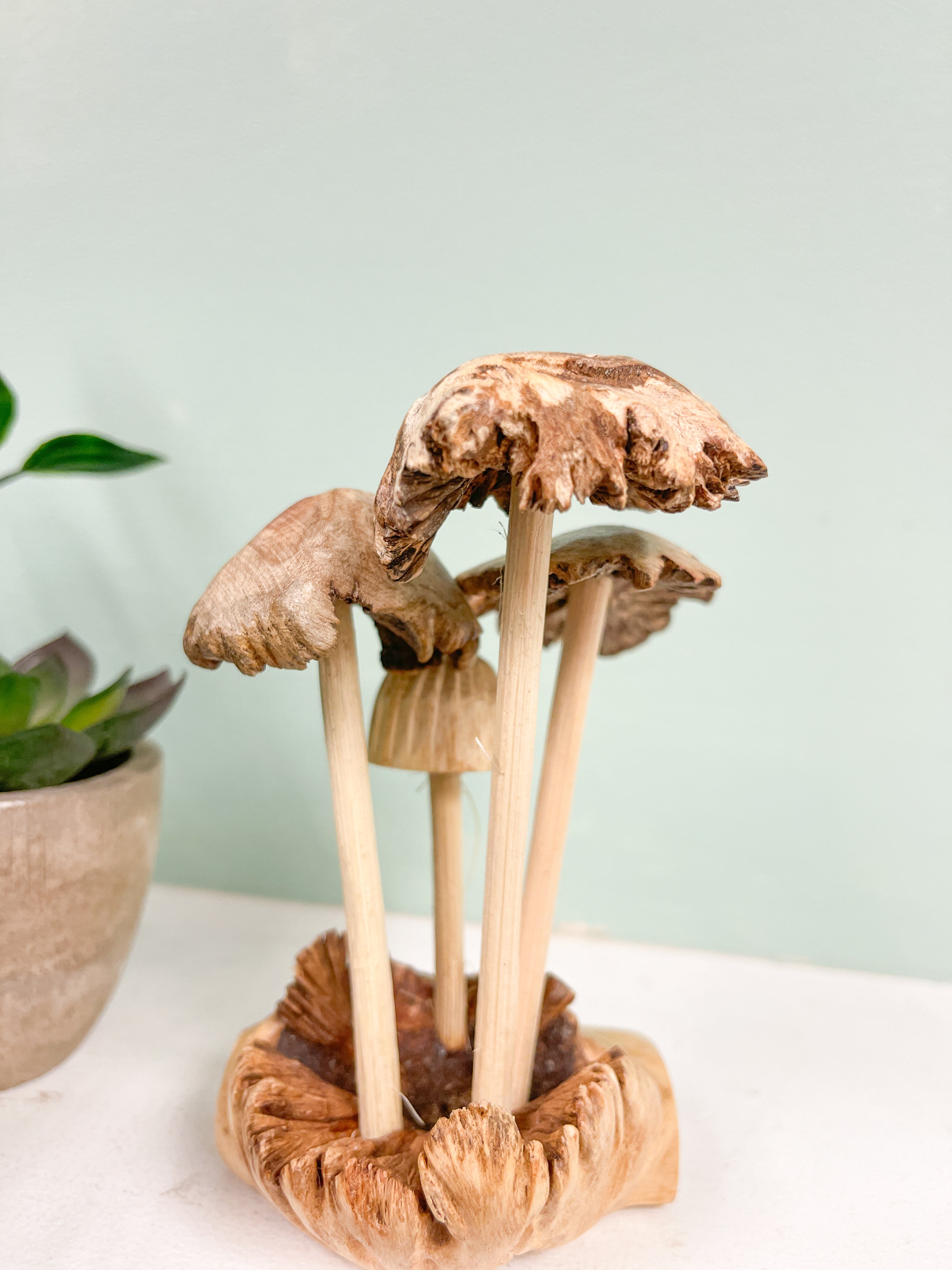 Mushrooms Toadstools Group of Four on Parasite Wood