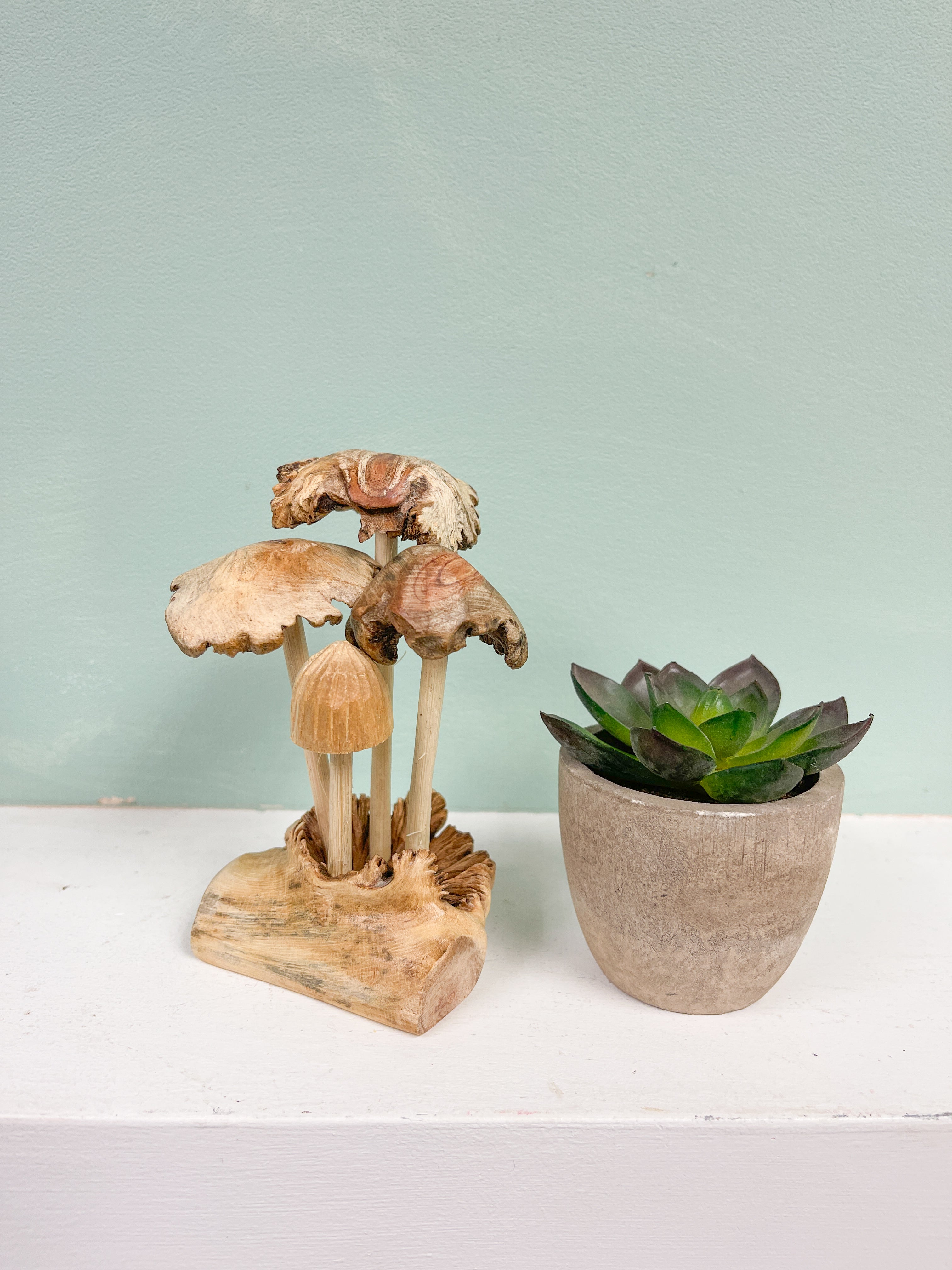 Mushrooms Toadstools Group of Four on Parasite Wood