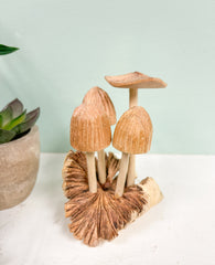 Mushrooms Toadstools Group of Four on Parasite Wood