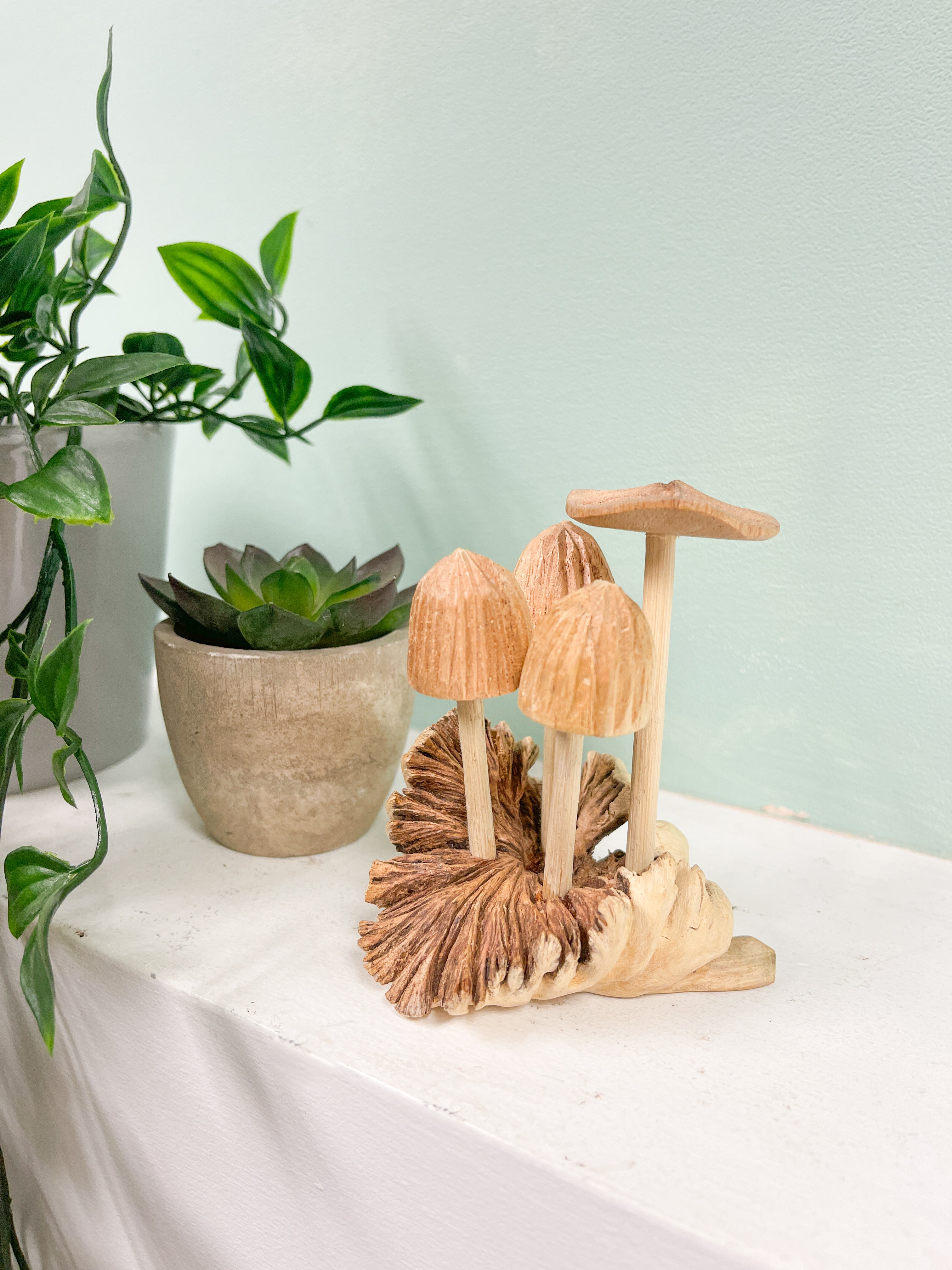 Mushrooms Toadstools Group of Four on Parasite Wood