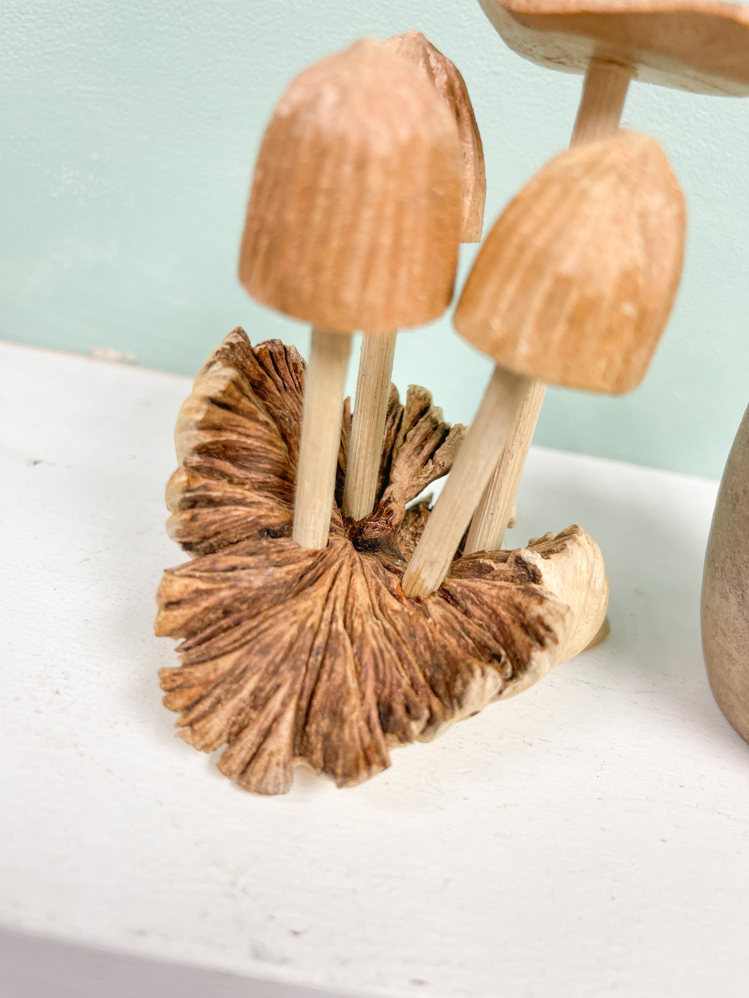 Mushrooms Toadstools Group of Four on Parasite Wood