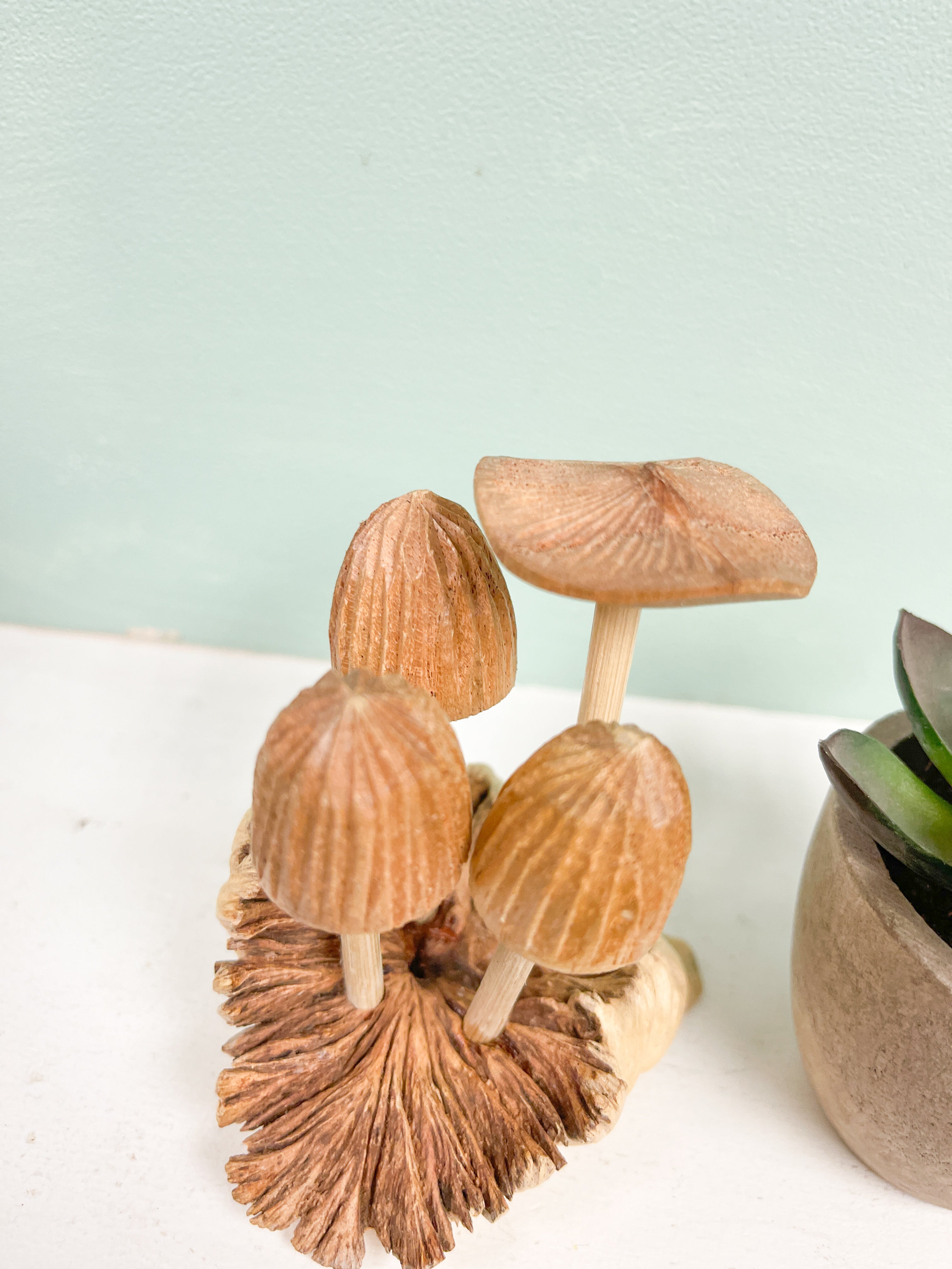 Mushrooms Toadstools Group of Four on Parasite Wood