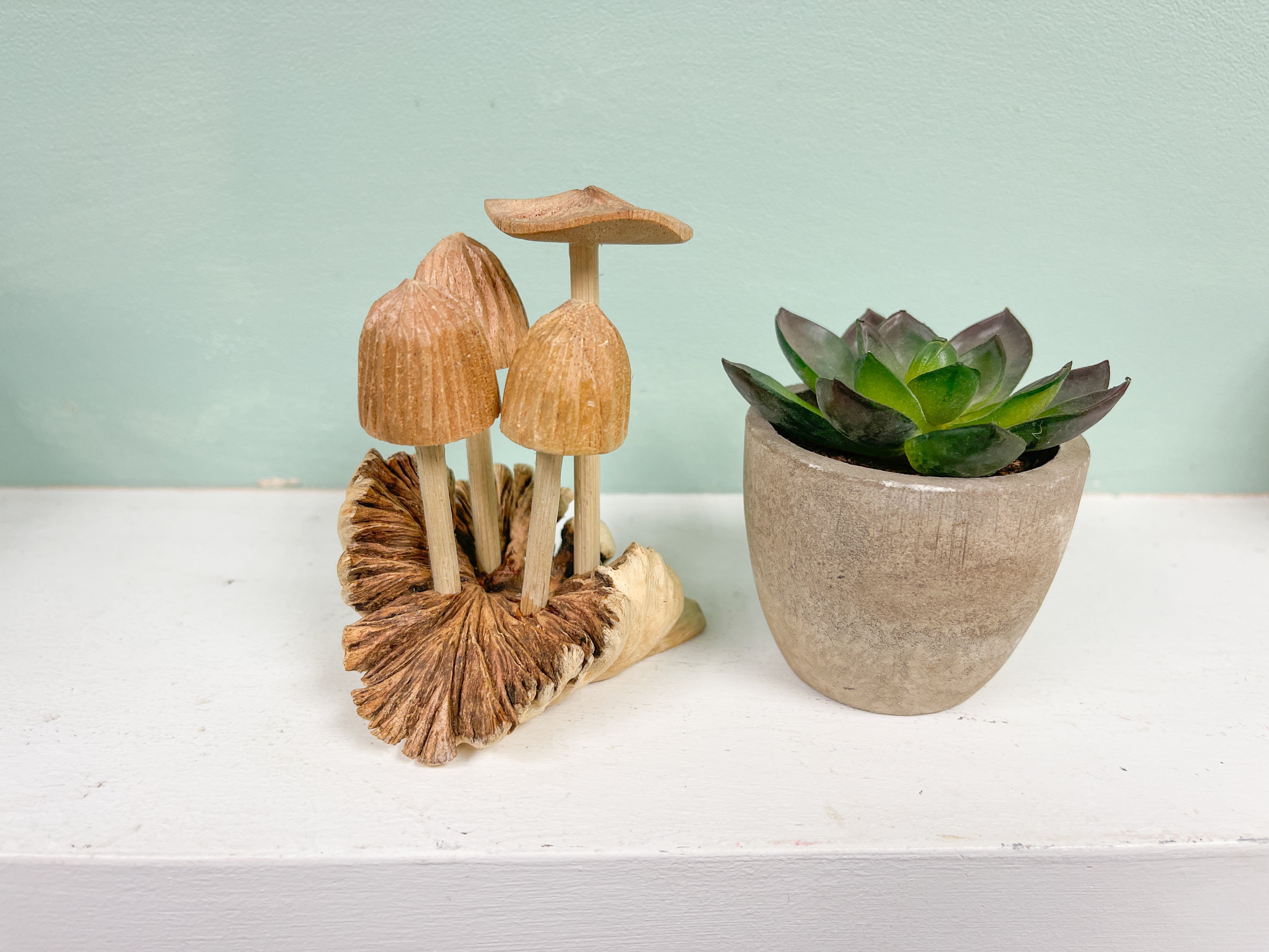 Mushrooms Toadstools Group of Four on Parasite Wood