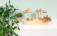 Wooden Mushrooms Toadstools Group of 6 on Parasite Wood