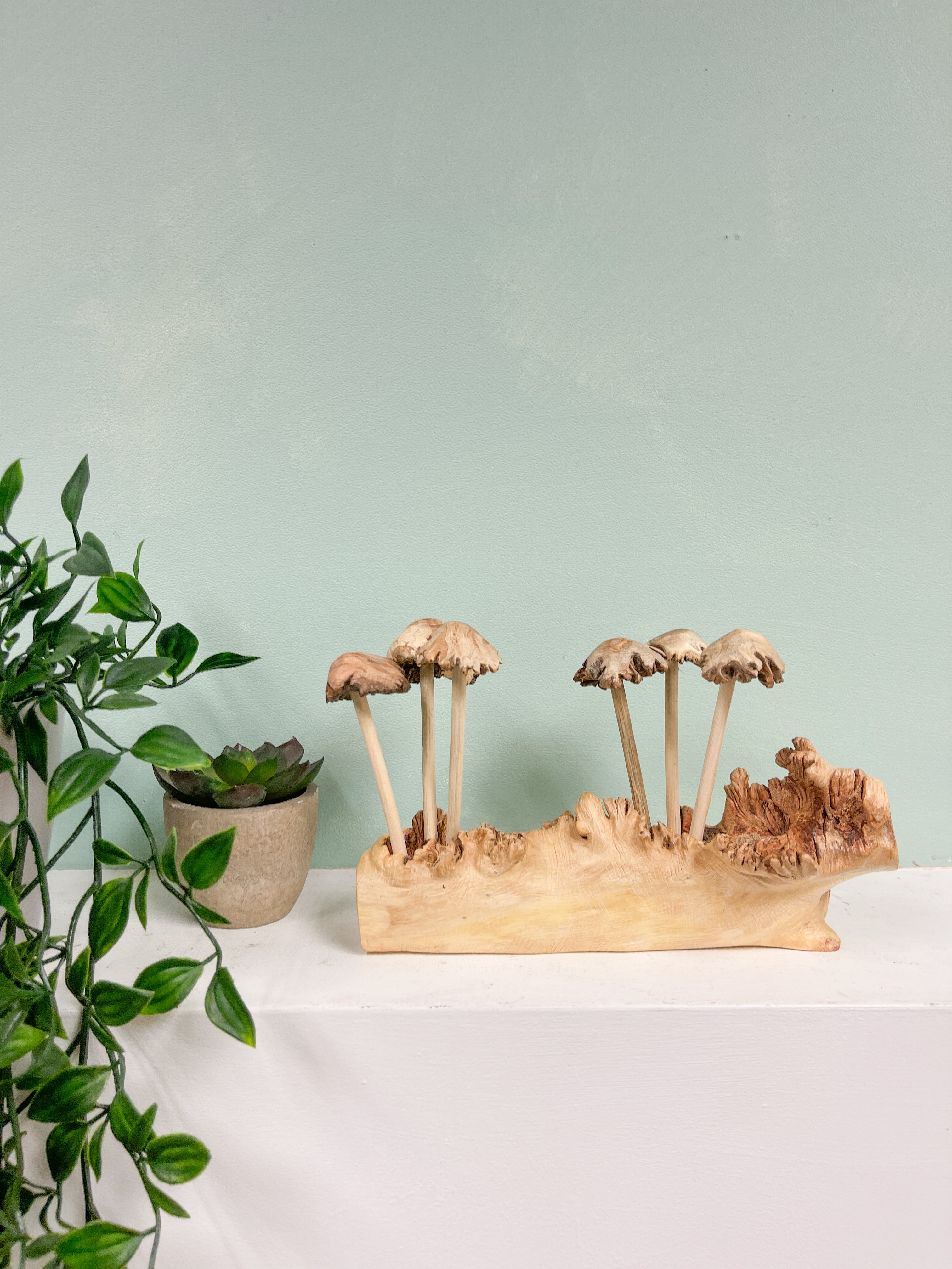 Wooden Mushrooms Toadstools Group of 6 on Parasite Wood