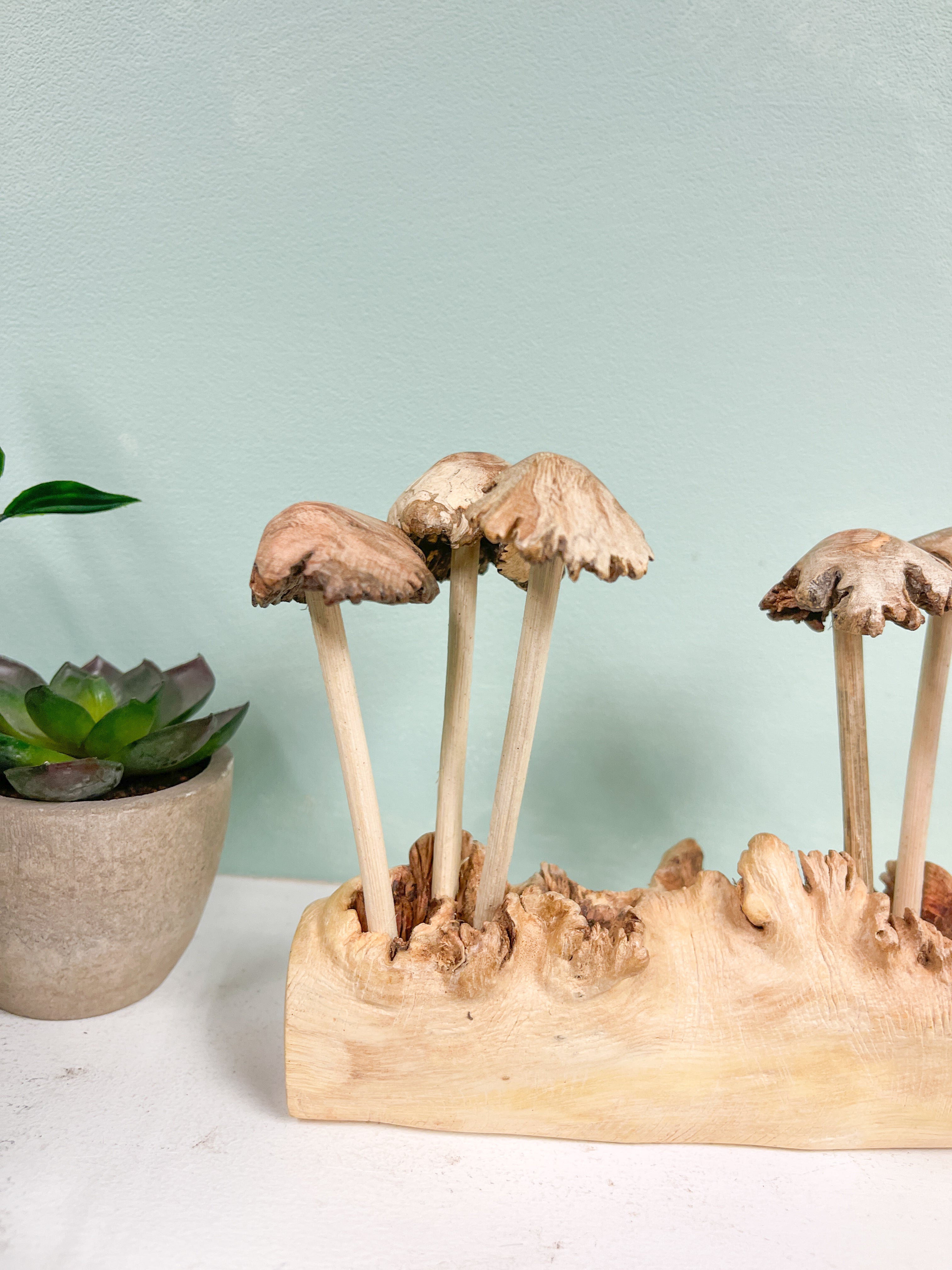 Wooden Mushrooms Toadstools Group of 6 on Parasite Wood