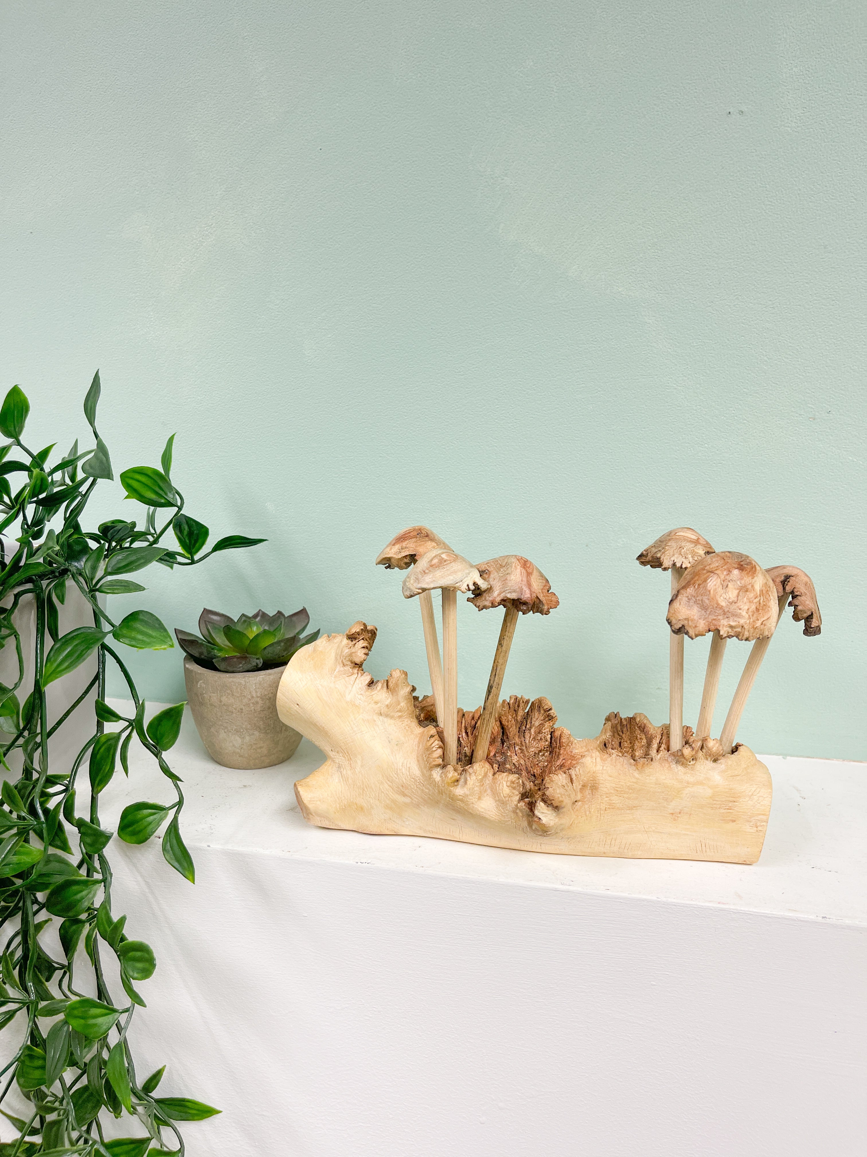 Wooden Mushrooms Toadstools Group of 6 on Parasite Wood