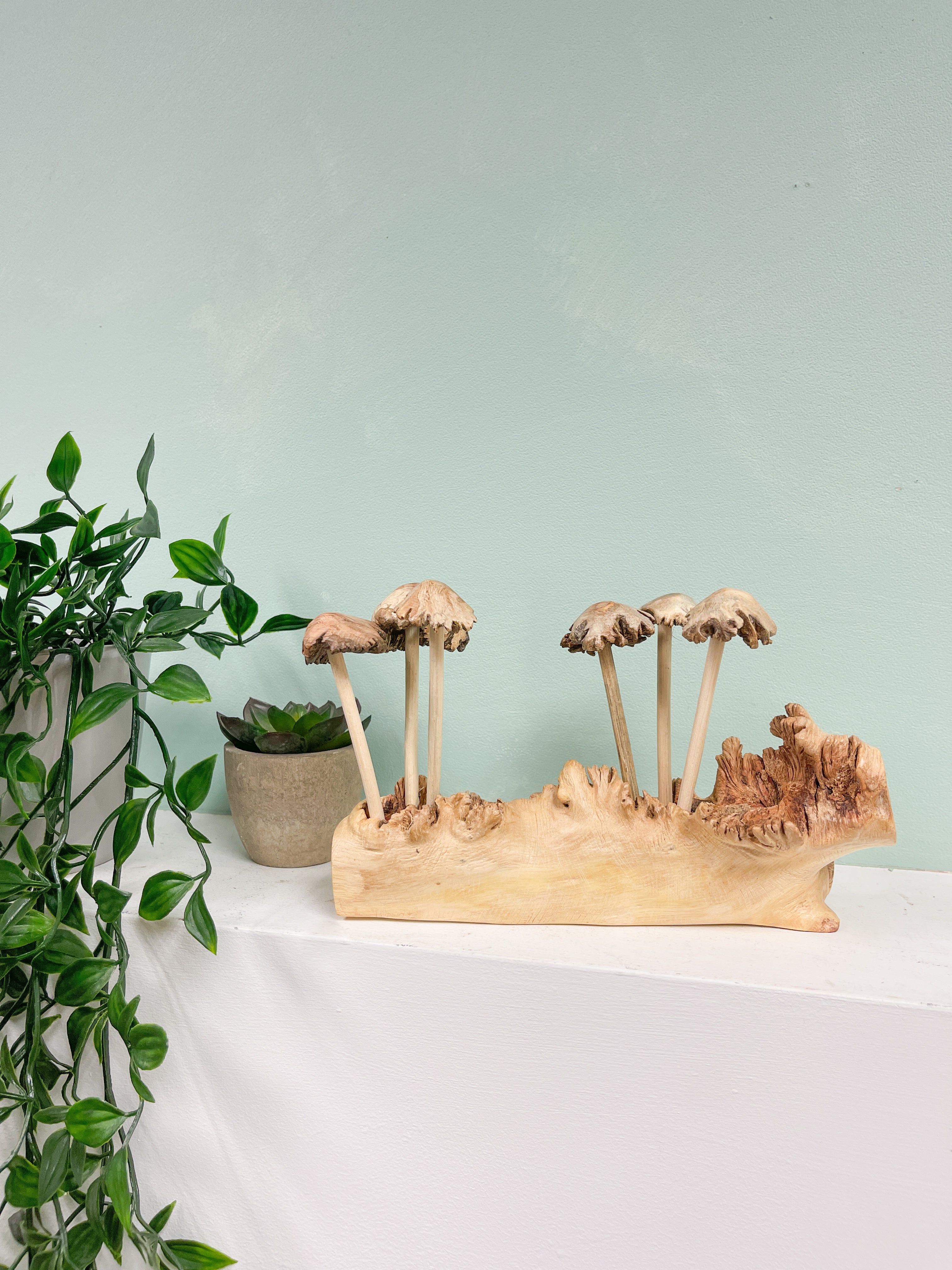 Wooden Mushrooms Toadstools Group of 6 on Parasite Wood