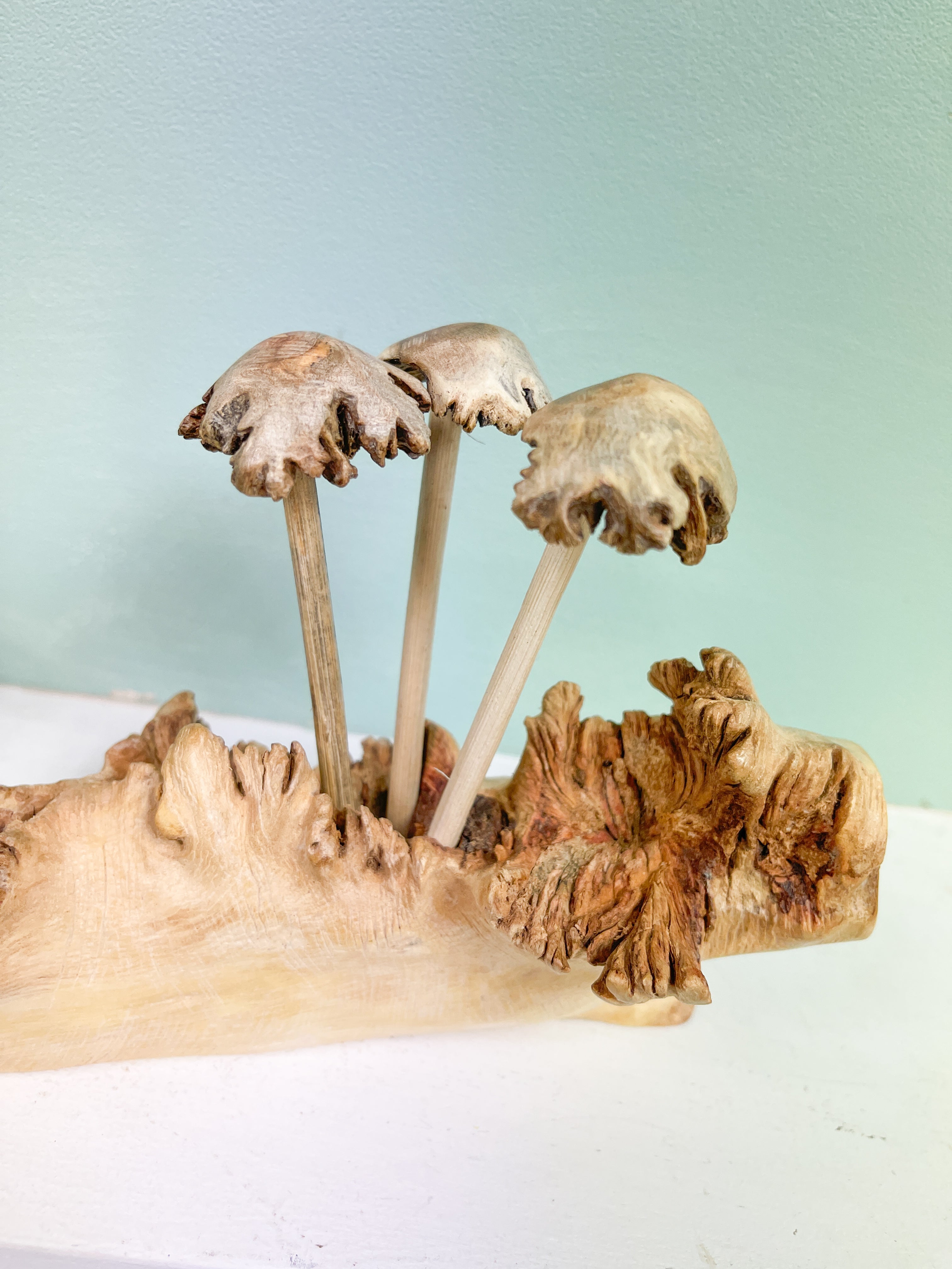 Wooden Mushrooms Toadstools Group of 6 on Parasite Wood