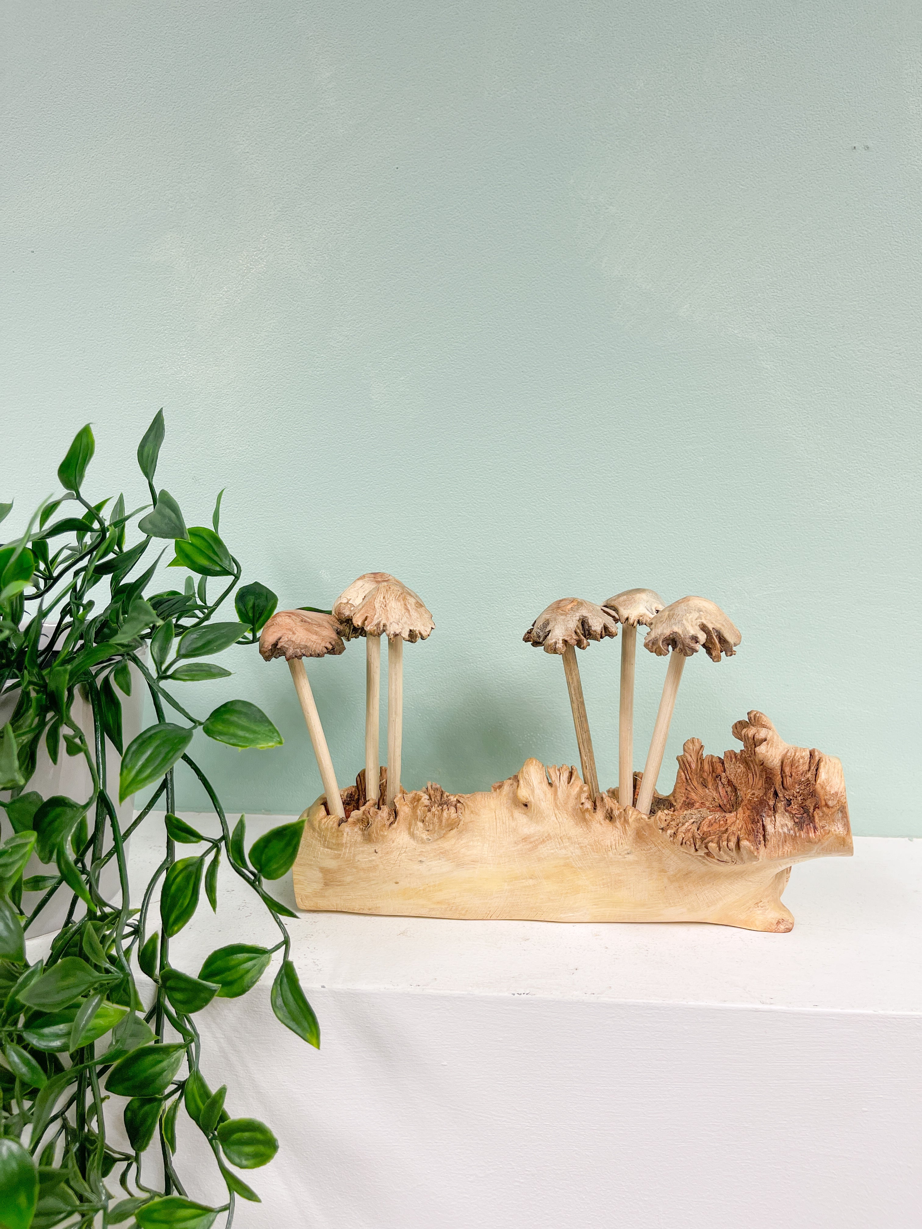 Wooden Mushrooms Toadstools Group of 6 on Parasite Wood