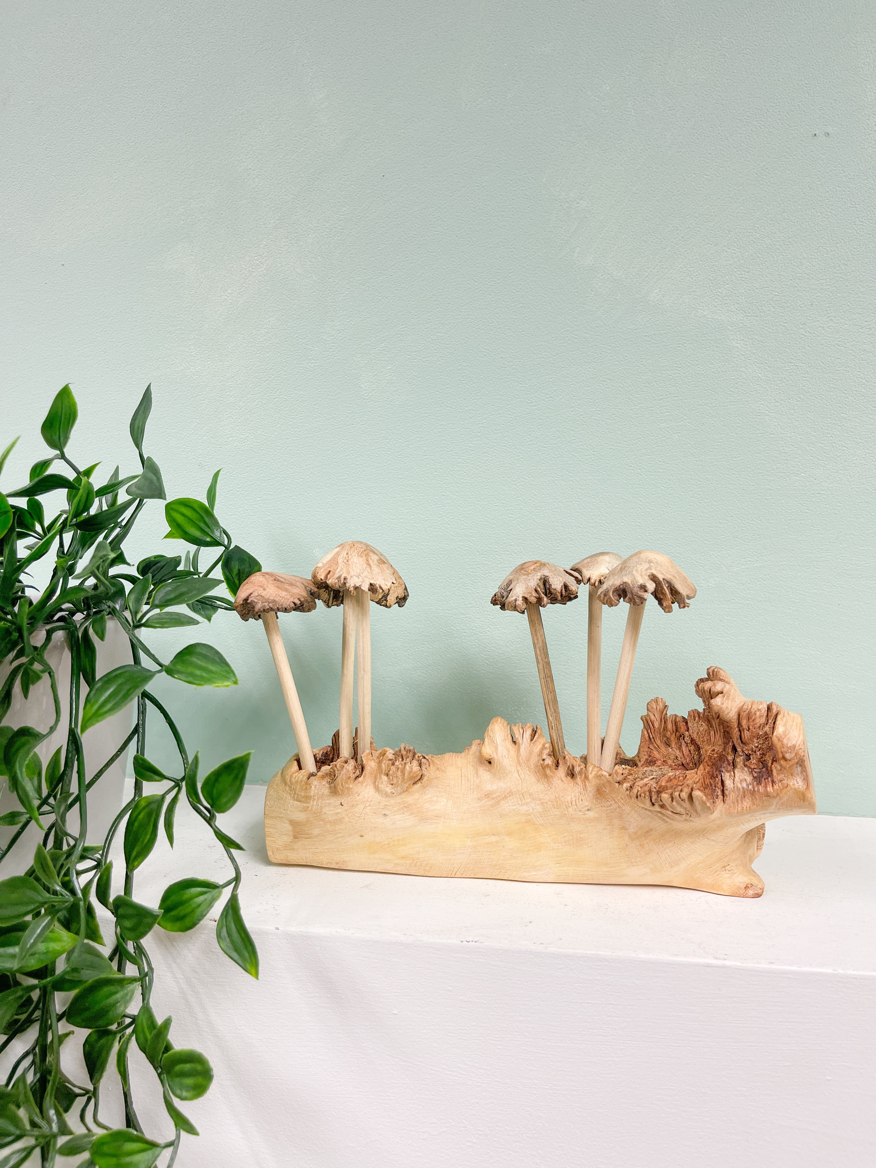 Wooden Mushrooms Toadstools Group of 6 on Parasite Wood