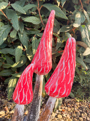 Red Wooden Morel Mushrooms with Base