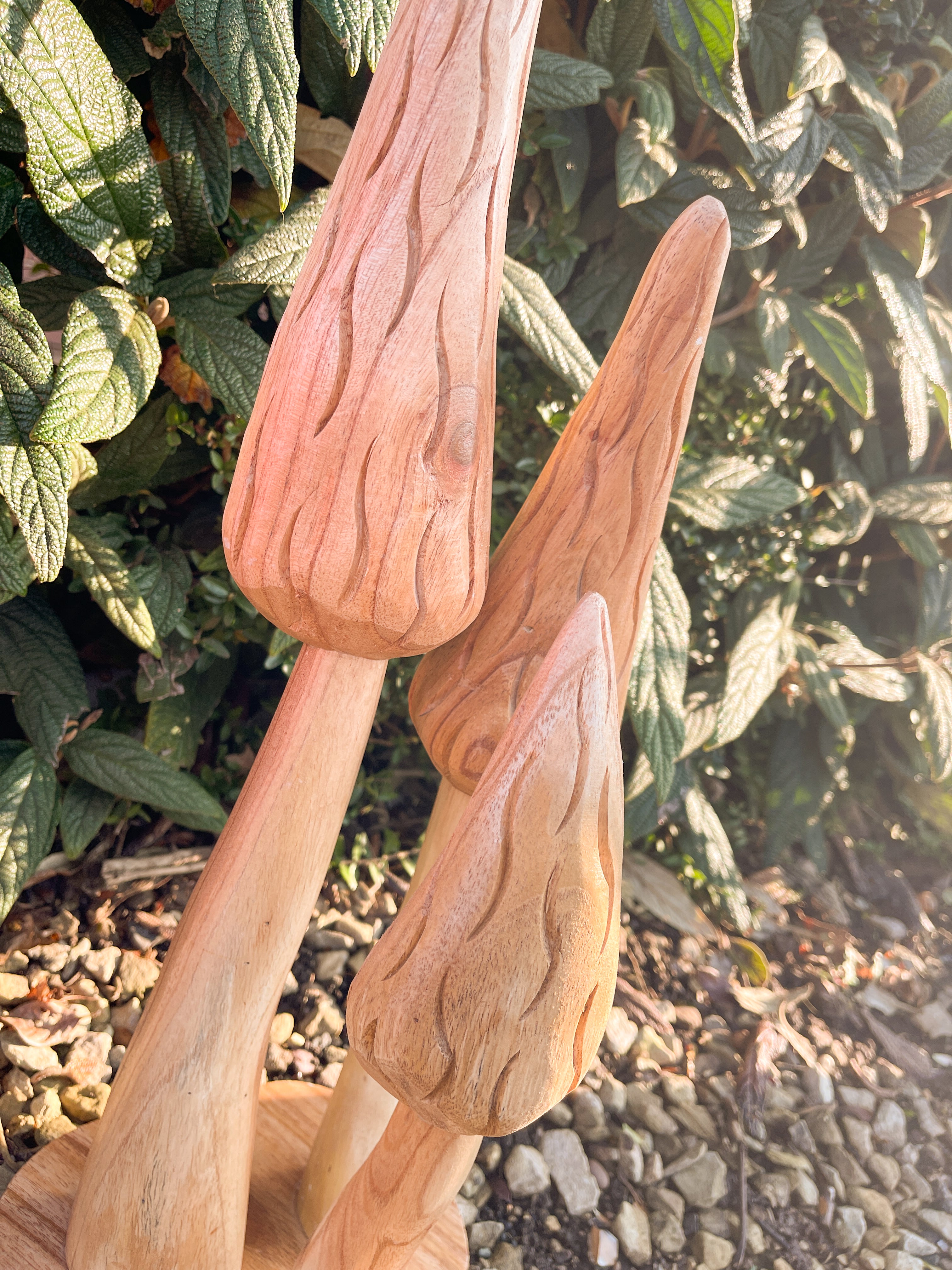 Natural Wooden Morel Mushrooms with Base