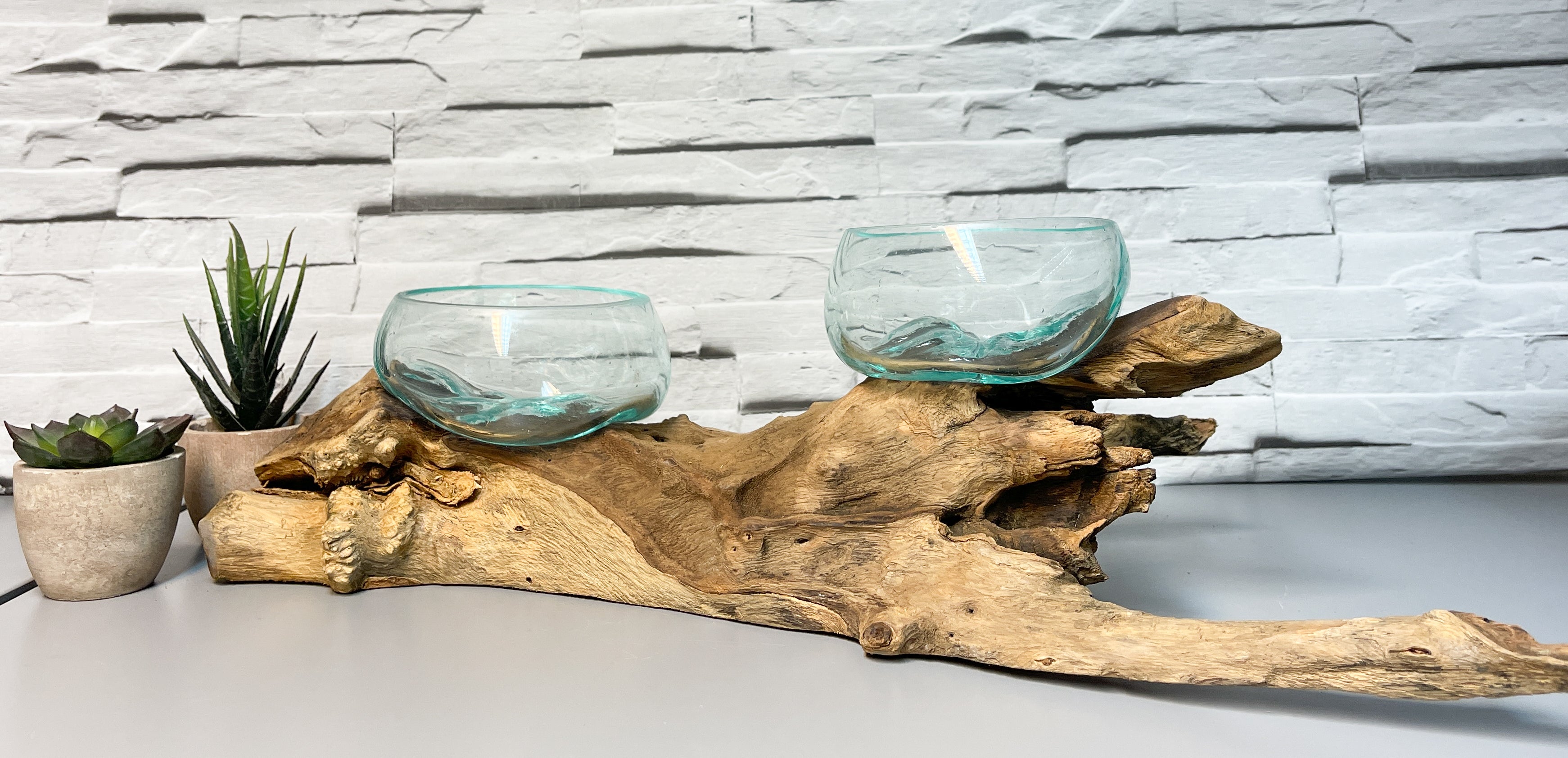 Coffee Root with 2 x Glass Bowls - Small