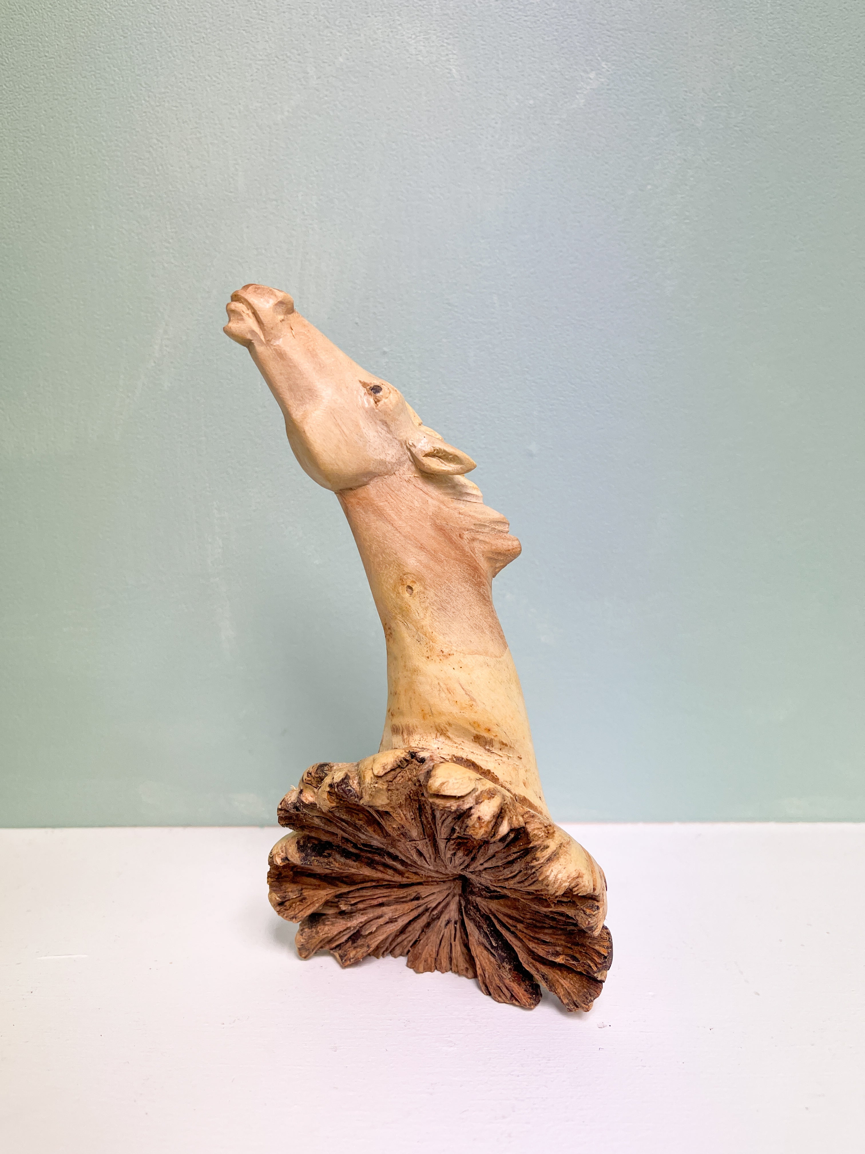 Wooden Carved Horse Head on Parasite Wood