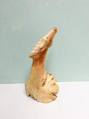 Wooden Carved Horse Head on Parasite Wood