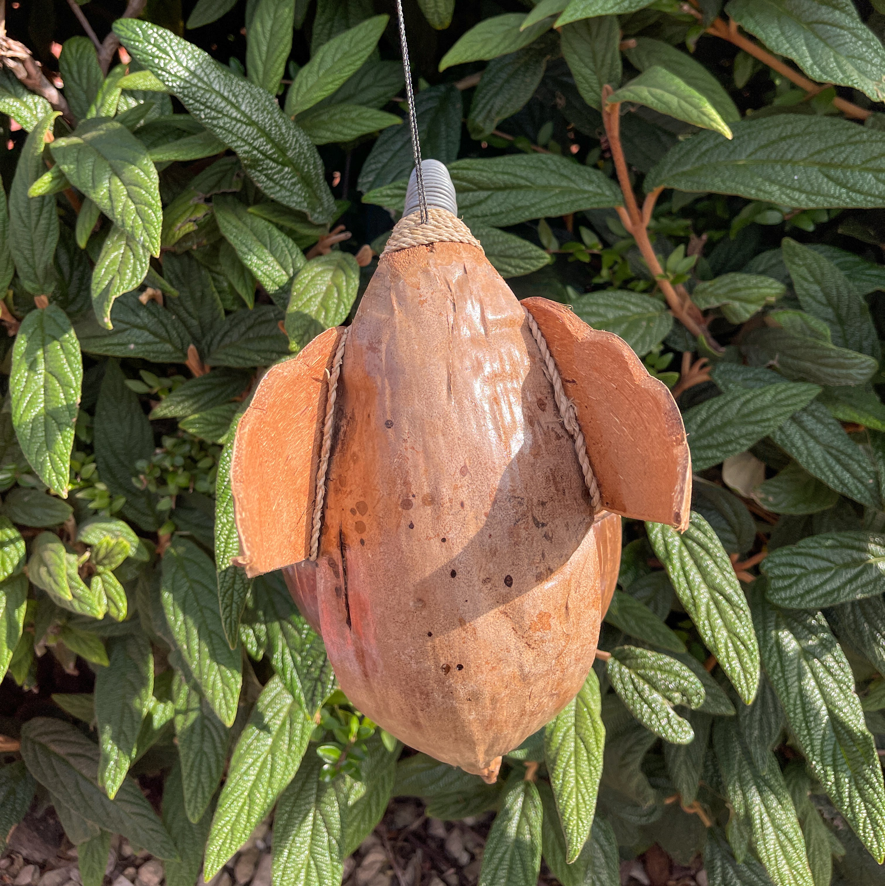 Coconut Bird Feeder - Duck