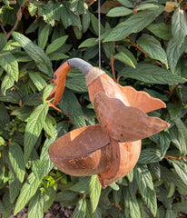 Coconut Bird Feeder - Duck