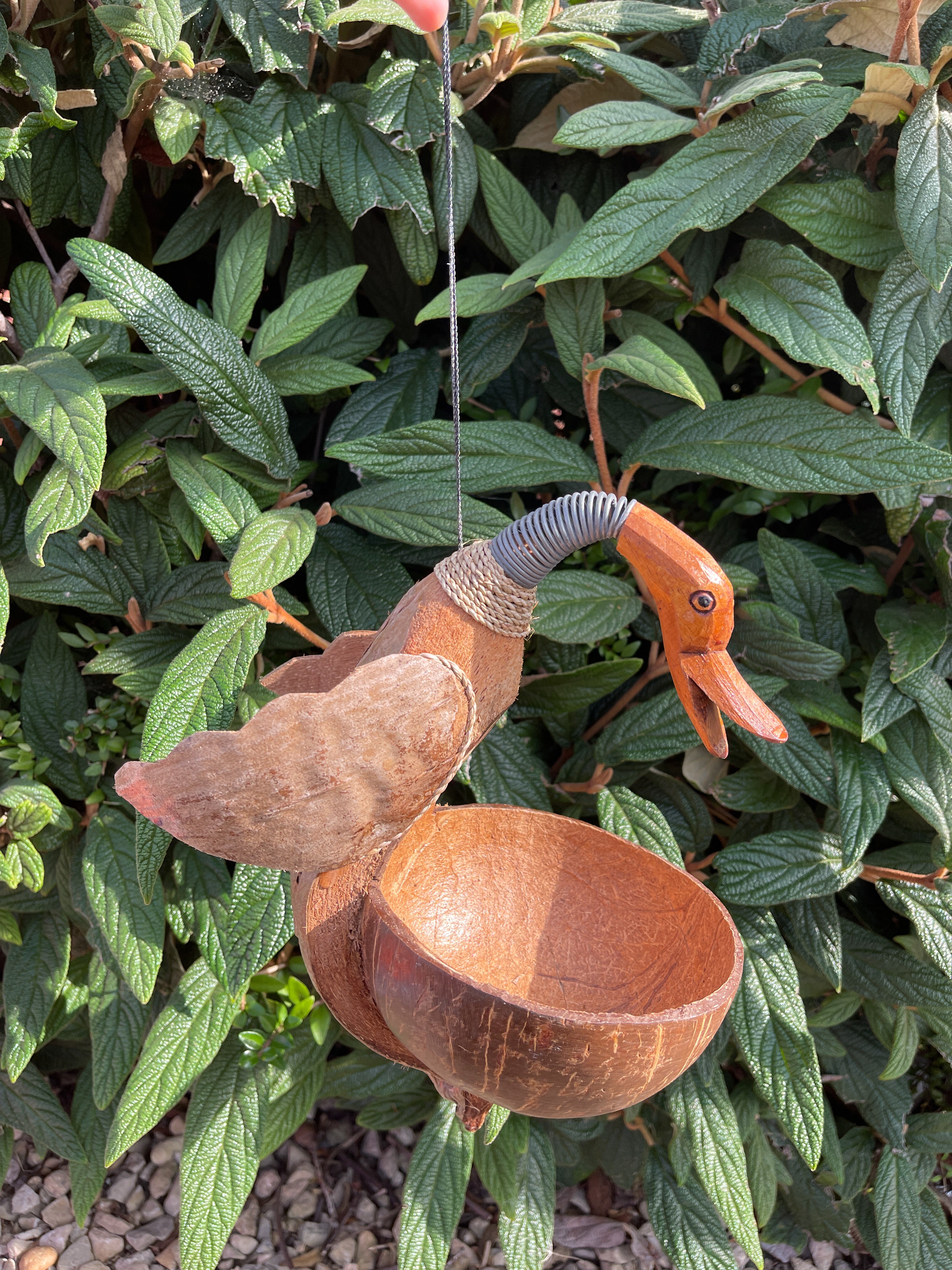 Coconut Bird Feeder - Duck