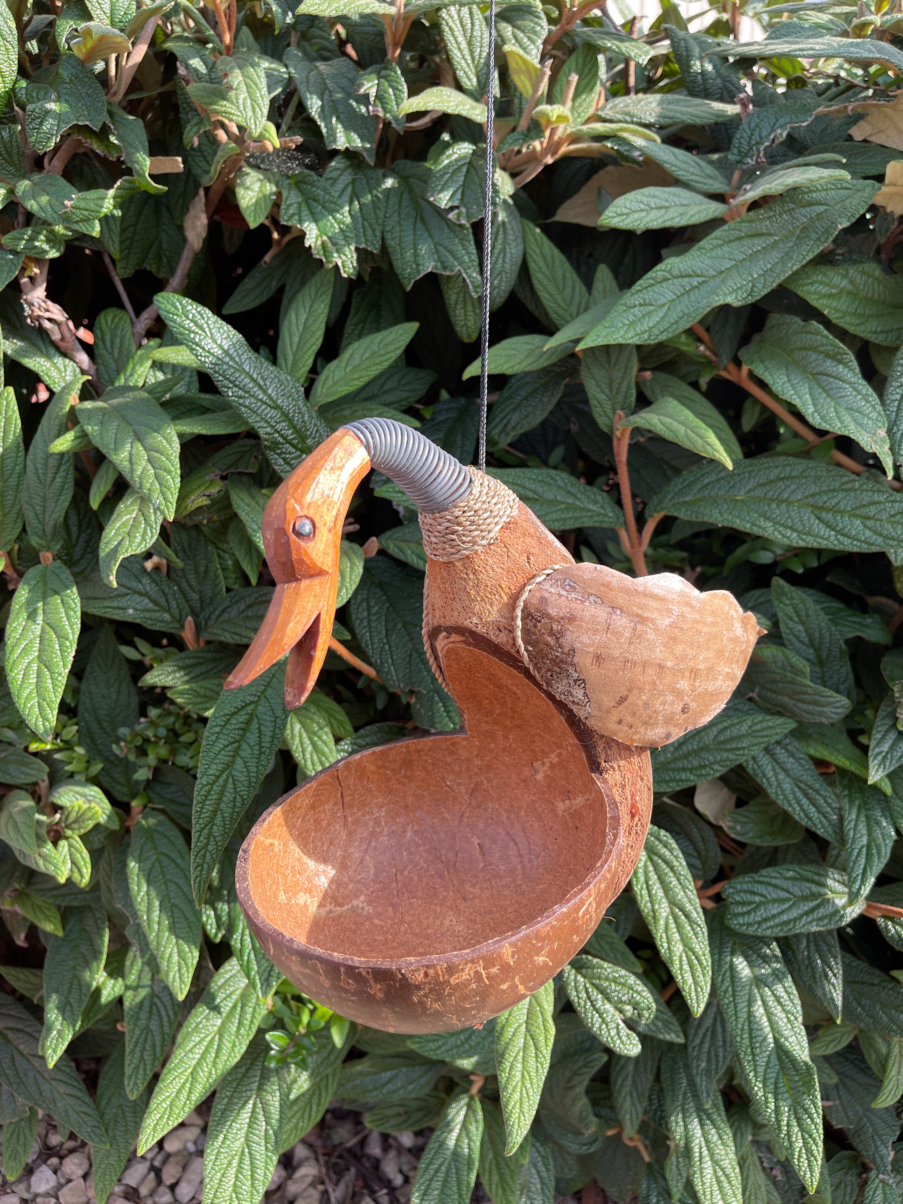 Coconut Bird Feeder - Duck