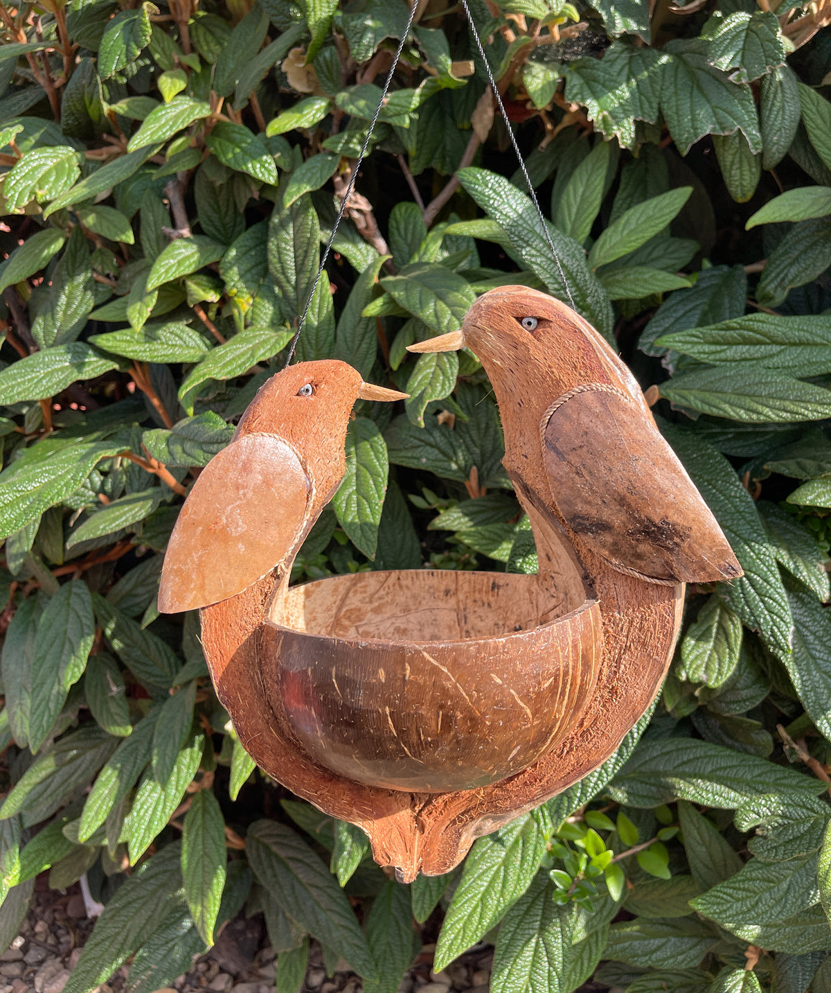 Coconut Bird Feeder - 2 Birds