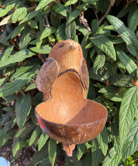 Coconut Bird Feeder - Bird